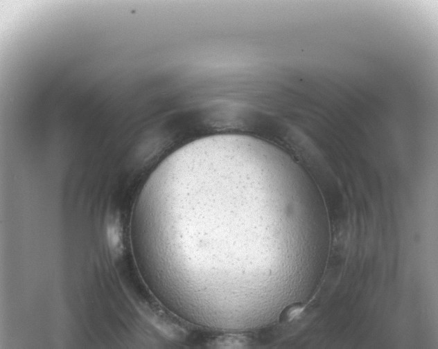 X0000062150124200512121318