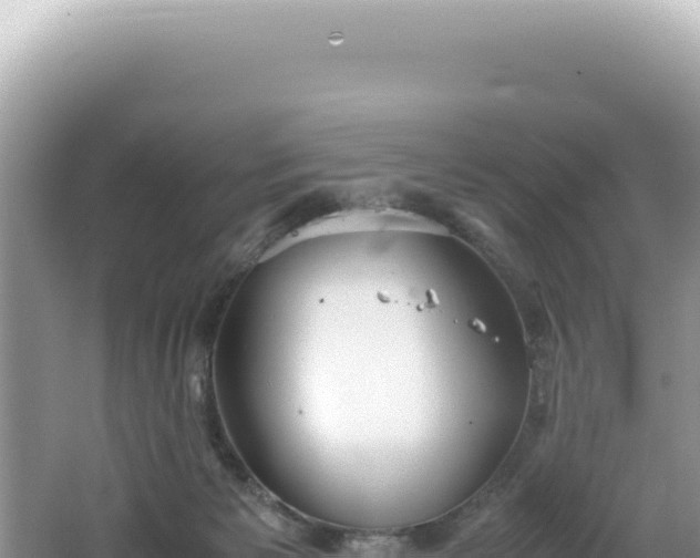 X0000062150125200512121318