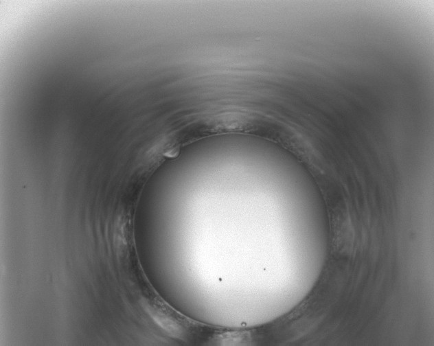 X0000062150126200512121318