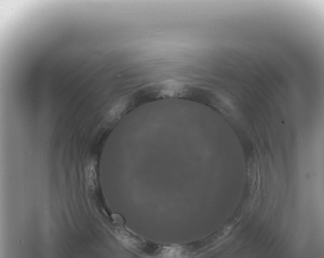 X0000062150127200512121318