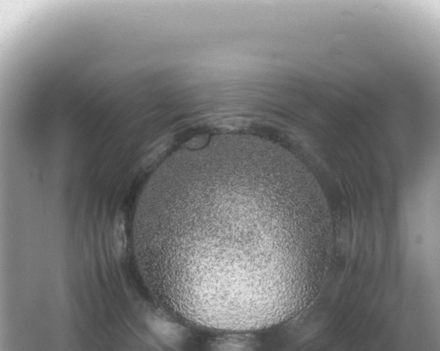 X0000062150128200512121318