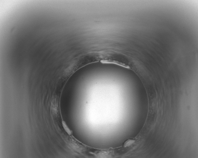 X0000062150129200512121318