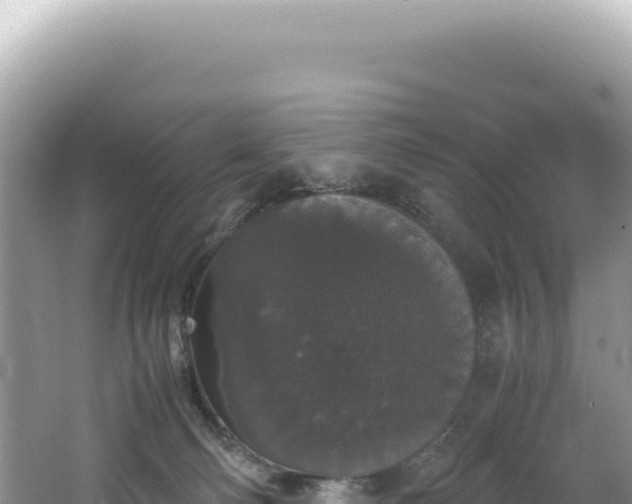 X0000062150130200512121318