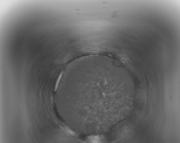 X0000062150131200512121318