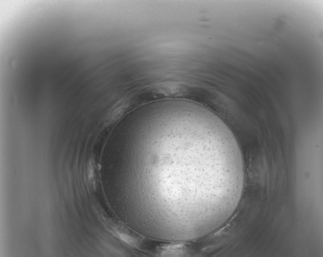 X0000062150132200512121318