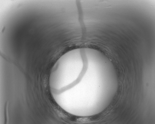 X0000062150133200512121318