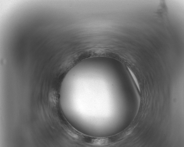 X0000062150135200512121318