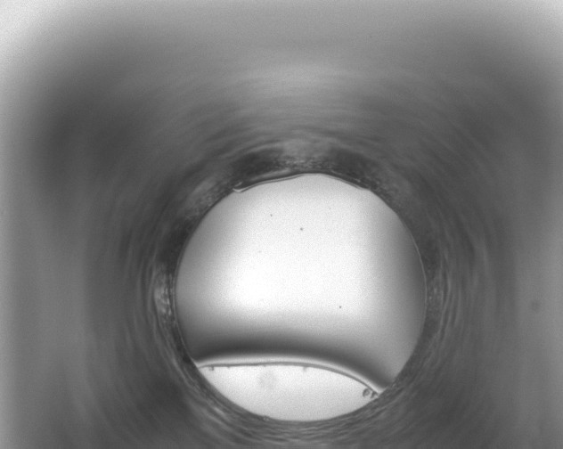 X0000062150137200512121318