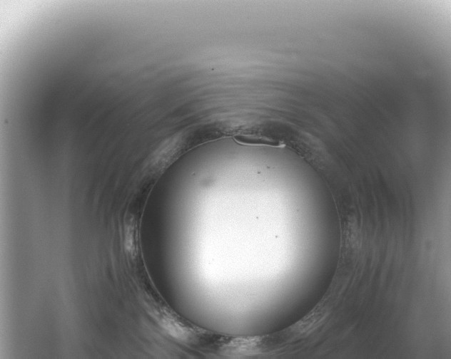 X0000062150138200512121317