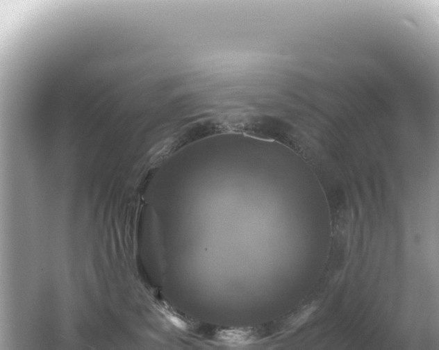 X0000062150139200512121317