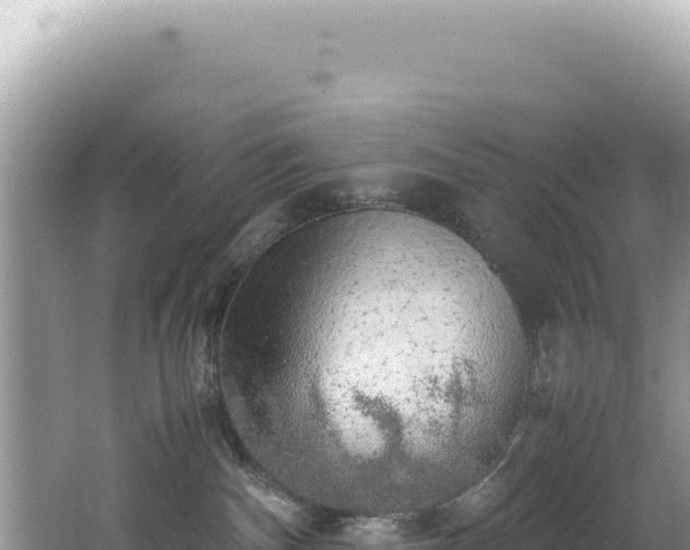 X0000062150140200512121317