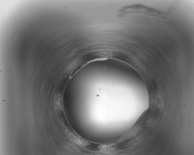 X0000062150141200512121317