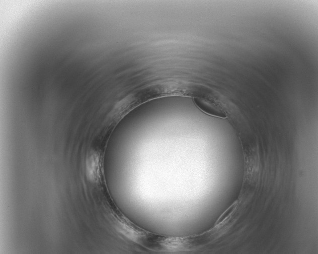 X0000062150142200512121317