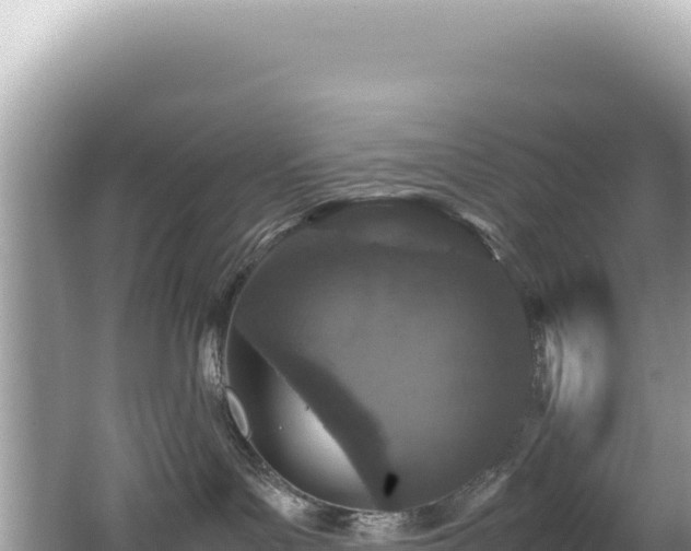 X0000062150143200512121317