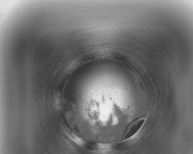 X0000062150144200512121317