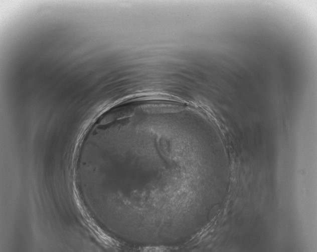 X0000062150145200512121317