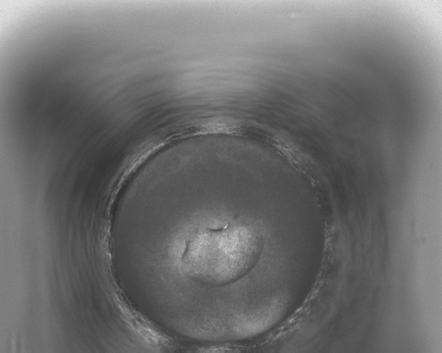 X0000062150146200512121317