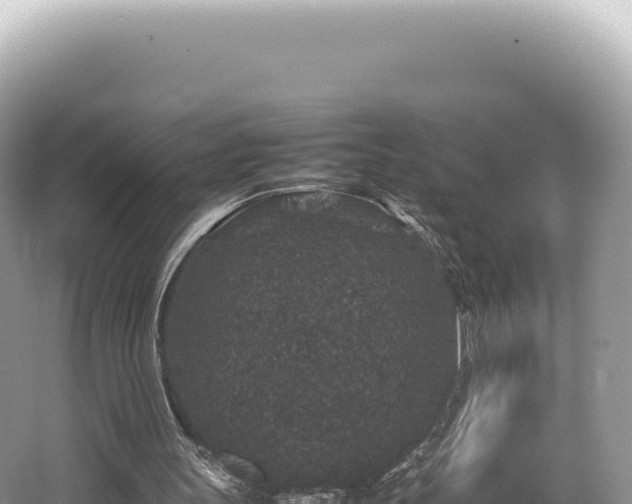 X0000062150147200512121317