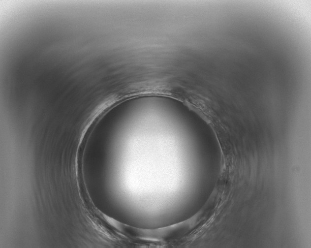 X0000062150148200512121317