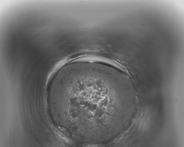 X0000062150149200512121317