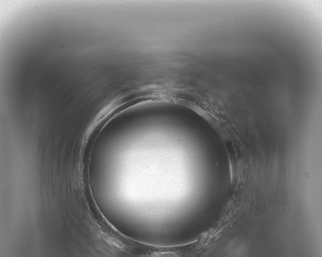 X0000062150150200512121317