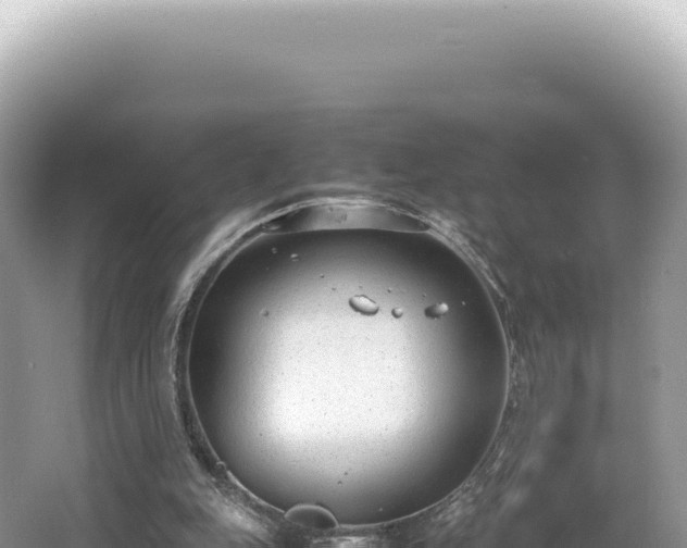 X0000062150151200512121317