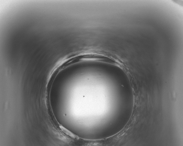 X0000062150152200512121317