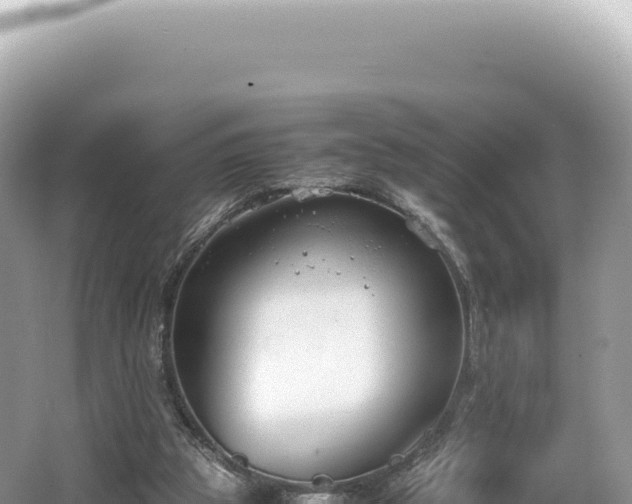 X0000062150153200512121317