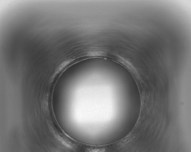 X0000062150155200512121317