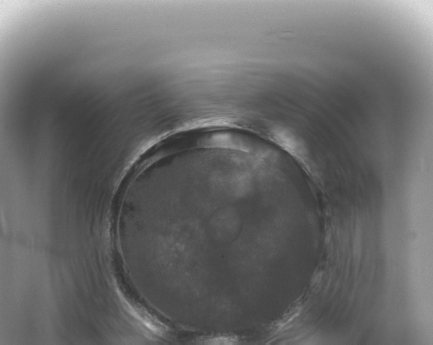 X0000062150156200512121317