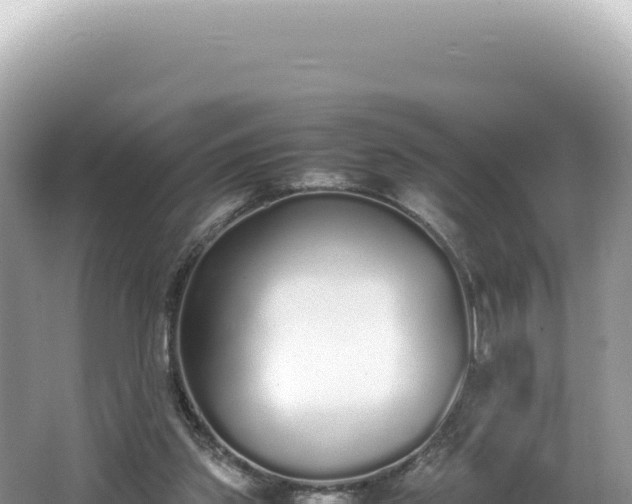 X0000062150157200512121317