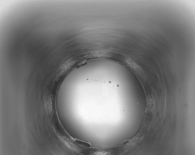 X0000062150158200512121317