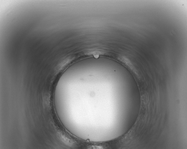 X0000062150159200512121317