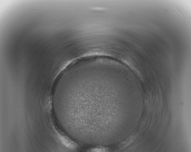 X0000062150160200512121317