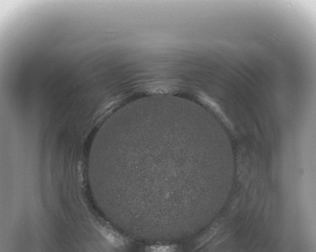 X0000062150161200512121317