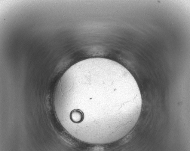 X0000062150162200512121317