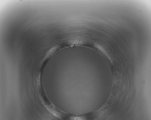 X0000062150163200512121317