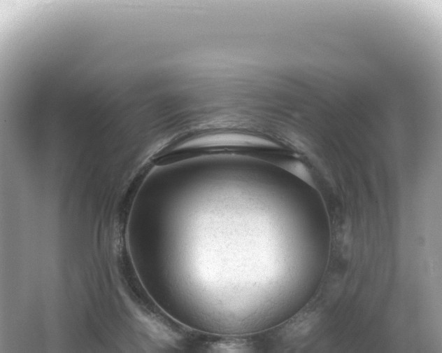 X0000062150164200512121317