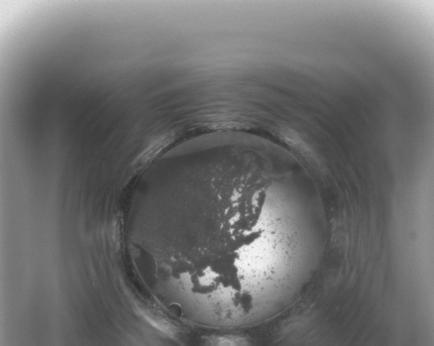 X0000062150165200512121317