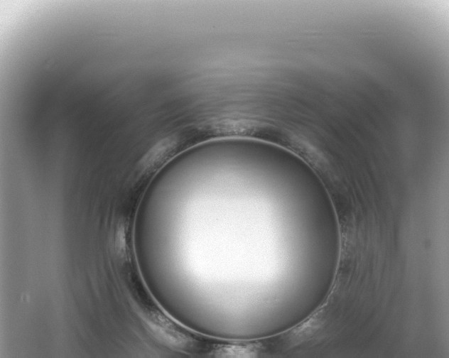 X0000062150166200512121317