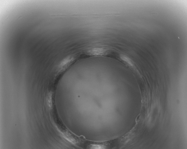 X0000062150167200512121317