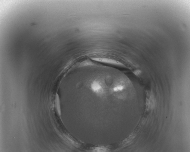 X0000062150168200512121317