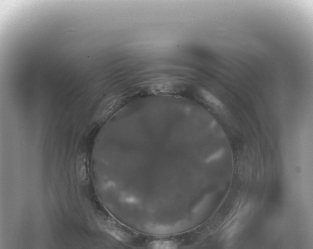 X0000062150169200512121317