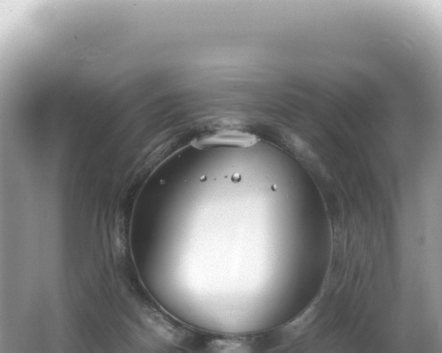 X0000062150170200512121317