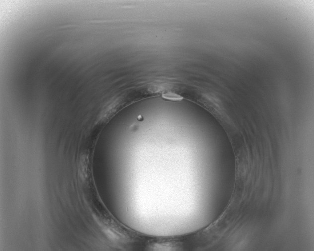 X0000062150171200512121317