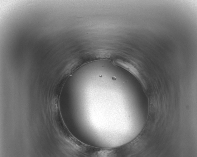 X0000062150172200512121317