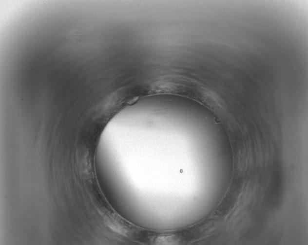 X0000062150173200512121317