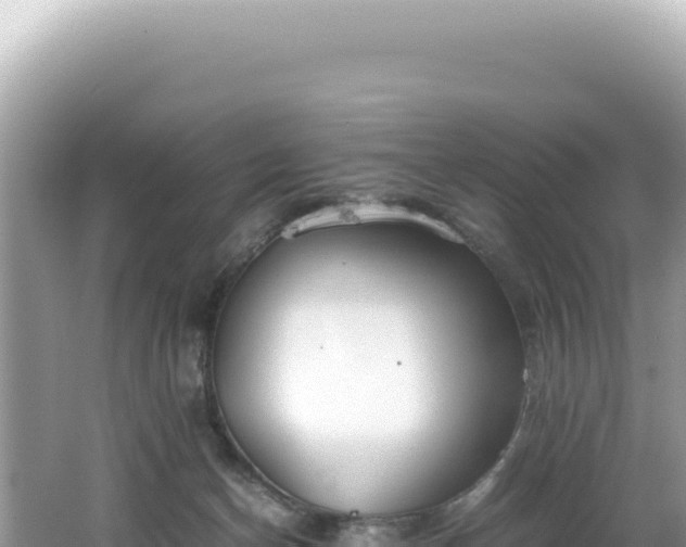 X0000062150174200512121317