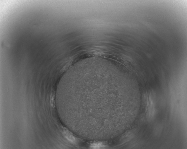 X0000062150177200512121317