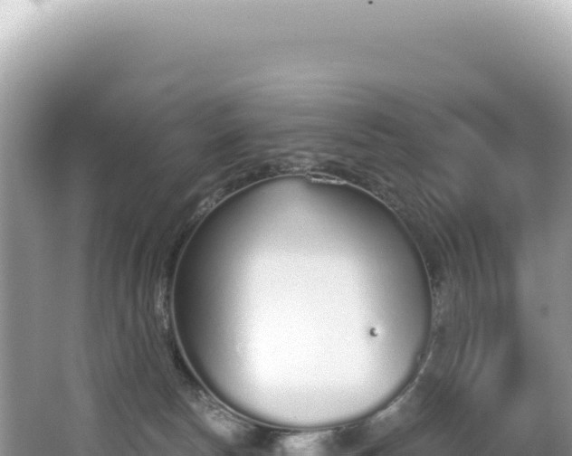 X0000062150178200512121317